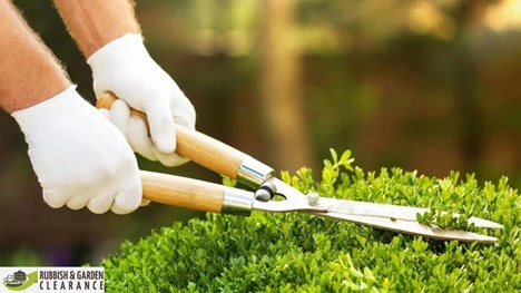 How Garden Clearance Services in Croydon Can Help Breathe New Life into Your Neglected Garden