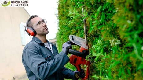 How Garden Clearance Services in Croydon Can Help Breathe New Life into Your Neglected Garden
