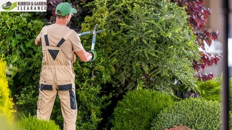 Specialized Garden Clearance Services in Merton
