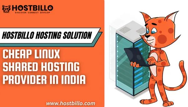 Get The Best Linux Shared Hosting Plan For WordPress in India