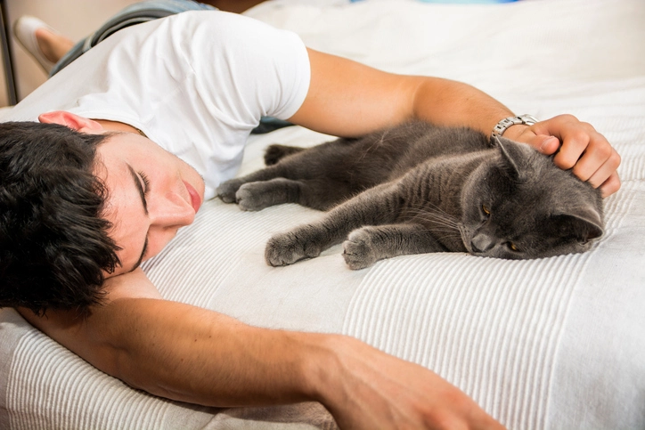 How Cats Can Boost Mental Health